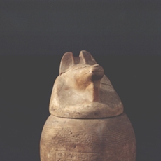 Canopic jar of Ketjen in the form of god Duamutef